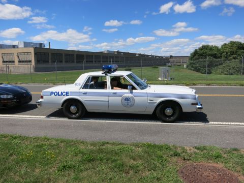 2001 Ford Crown Victoria - A white police car with blue stripes and a light bar is seen from the side, driving next to another vehicle.