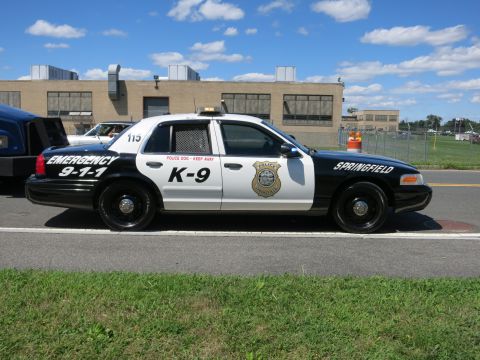 2001 Ford Crown Victoria - 2001 Ford Crown Victoria police car with K-9 unit markings and "Springfield" on the fender.