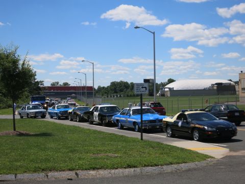 2001 Ford Crown Victoria - A line of police cars, including a black and white unit and a blue and white unit, drive down a road on a sunny day.