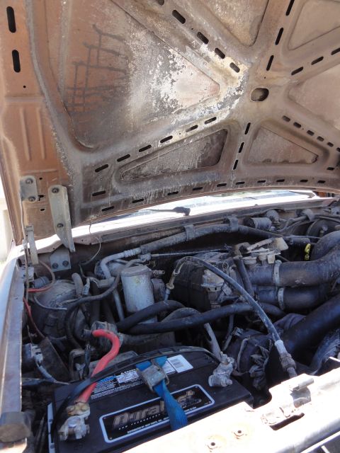 1989 Ford Bronco photo