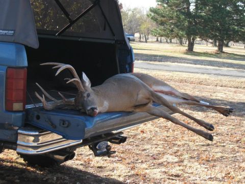 1982 Ford Bronco - A hunter's prize: a large buck is loaded into the bed of a pickup truck.