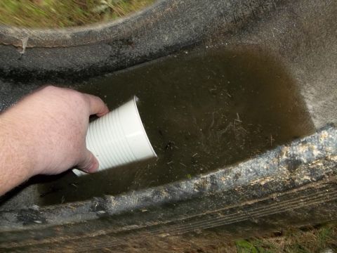 1995 Ford Bronco - Hand holding a cup to collect water from a trough.