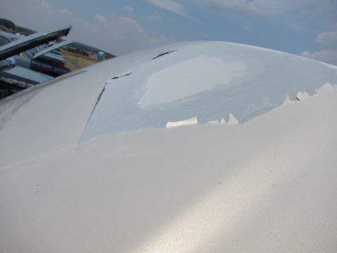 2001 Ford Crown Victoria - The paint on this car's roof is severely damaged, with large sections peeling away.