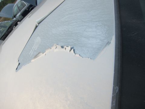 2001 Ford Crown Victoria - Peeling paint reveals a lighter color underneath on the hood of a white car, with other vehicles in the background.