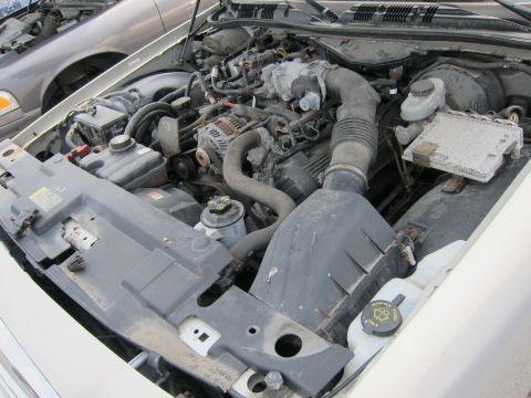 2001 Ford Crown Victoria - Engine bay of a 2001 Ford Crown Victoria, showing various engine components and the air intake system.