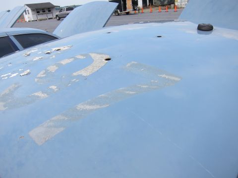 2001 Ford Crown Victoria - Close-up of a light blue car hood showing peeling paint and faded numbers, with other vehicles and buildings in the background.