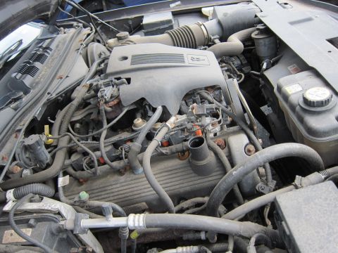 2001 Ford Crown Victoria - The engine bay of a 2001 Ford Crown Victoria is filled with hoses, wires, and engine components, all covered in a layer of dust.