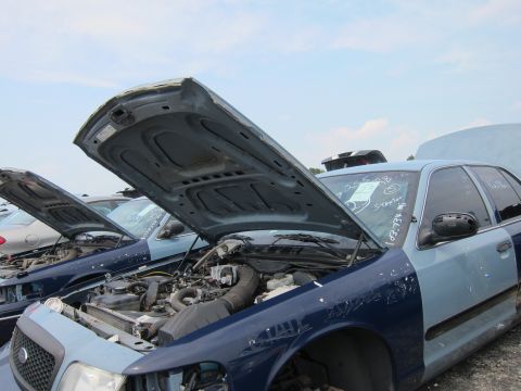 2001 Ford Crown Victoria - Junkyard scene with two cars, hoods open, revealing engines.