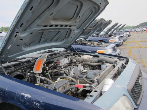 2001 Ford Crown Victoria - Multiple blue 2001 Ford Crown Victoria sedans are parked with their hoods open, revealing their engine bays.