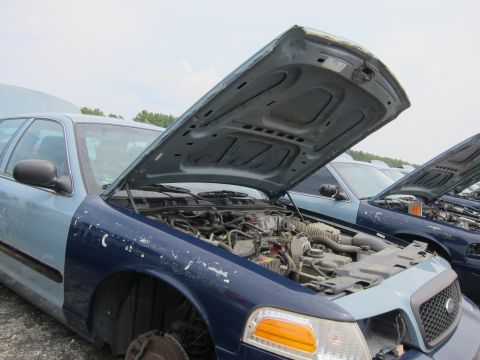 2001 Ford Crown Victoria - A row of 2001 Ford Crown Victorias sit in a junkyard with their hoods open, revealing their engines.