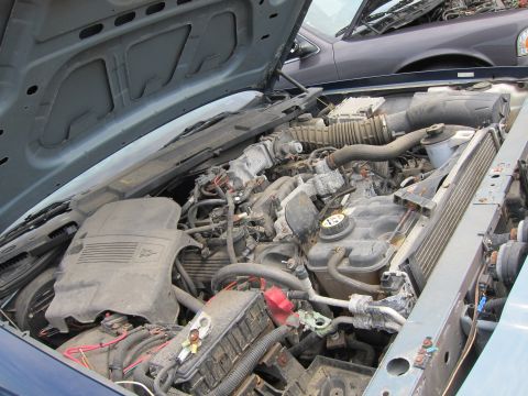 2001 Ford Crown Victoria - Engine bay of a 2001 Ford Crown Victoria, with another vehicle visible behind it.