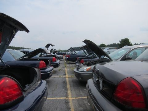 2001 Ford Crown Victoria - Multiple Ford Crown Victorias are parked in a lot, most with their trunks or hoods open.