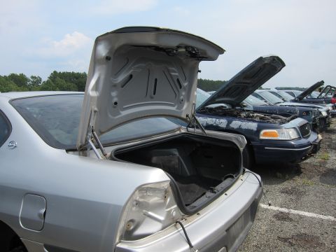 2001 Ford Crown Victoria - Multiple vehicles are lined up in a junkyard, with their trunks and hoods open.