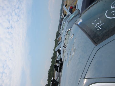 2001 Ford Crown Victoria - Junkyard scene with multiple vehicles parked in rows under a bright sky.
