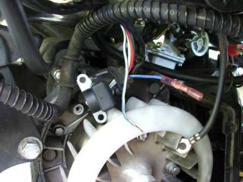 2008 Yamaha Zuma photo