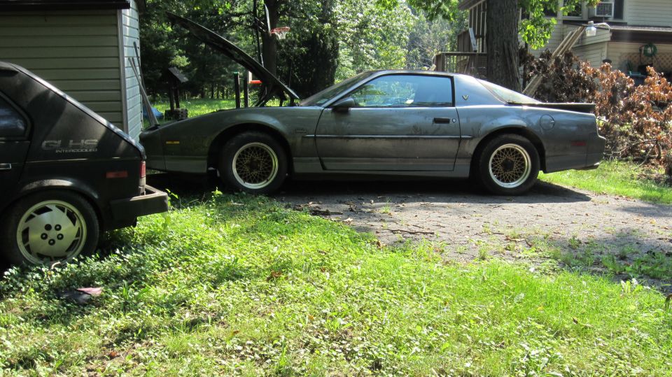 1987 Pontiac Firebird “Yard Find”