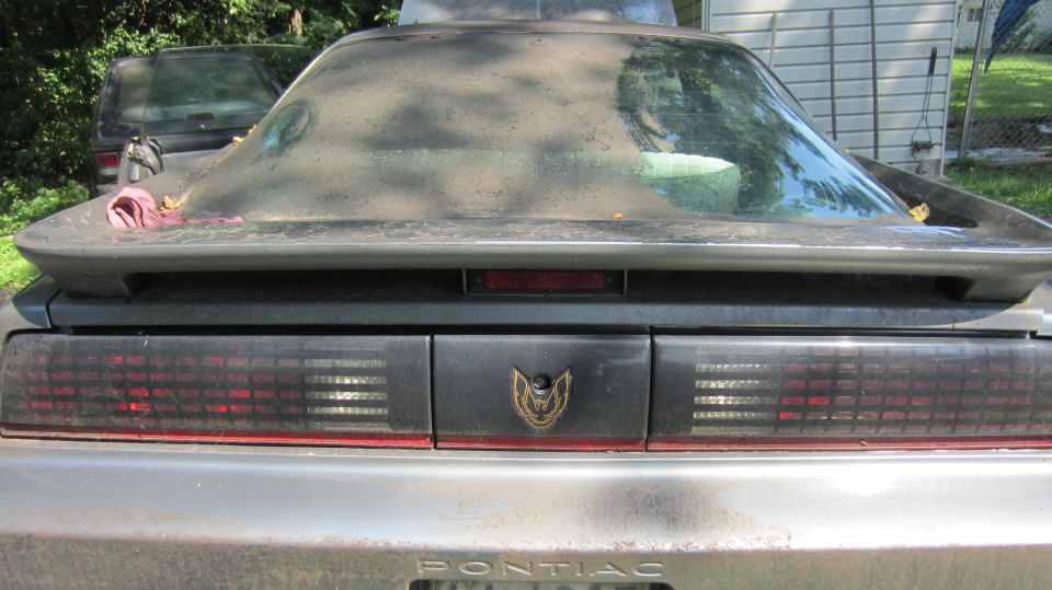Dusty 1987 Pontiac Firebird rear with a gold bird emblem and horizontal taillights