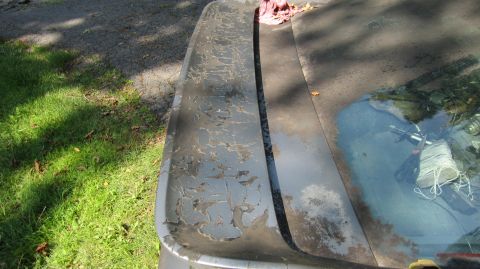 1987 Pontiac Firebird - The paint on the rear spoiler and trunk lid is severely weathered and peeling.