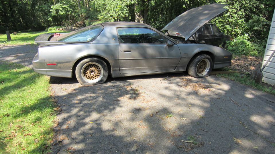 1987 Pontiac Firebird “Yard Find”