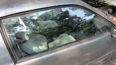 1987 Pontiac Firebird - View of a car's interior through the side window, with reflections of trees on the glass.