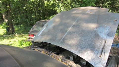 1987 Pontiac Firebird - The open hood of a car reveals its engine bay, with another vehicle parked behind it in a wooded area.