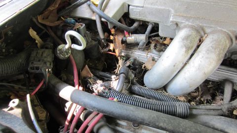 1987 Pontiac Firebird - Engine bay is cluttered with leaves and dirt, obscuring many components.