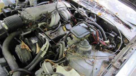 1987 Pontiac Firebird - The engine bay of a car is shown, filled with hoses, wires, and engine parts, covered in dust and debris.