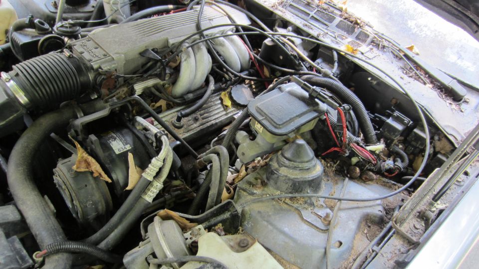 engine bay with various hoses, wires, and engine components visible