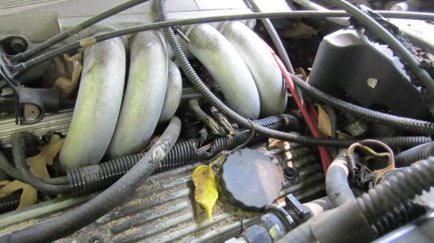 1987 Pontiac Firebird - Close-up view of engine components, including intake runners and electrical wiring, covered in dust and leaves.