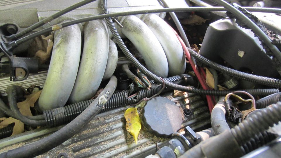 Engine intake manifold and wiring harness with debris