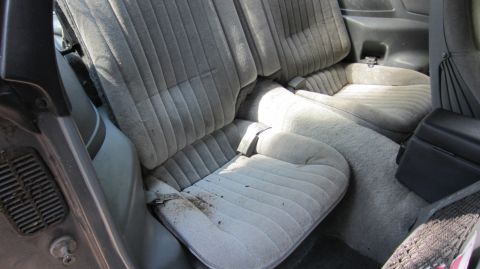 1987 Pontiac Firebird - The interior of a car shows the back seats and floor carpet, with some dirt visible.