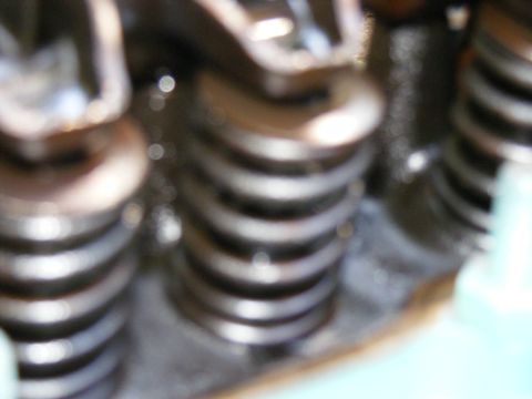 Close-up of engine valve springs, some oil visible