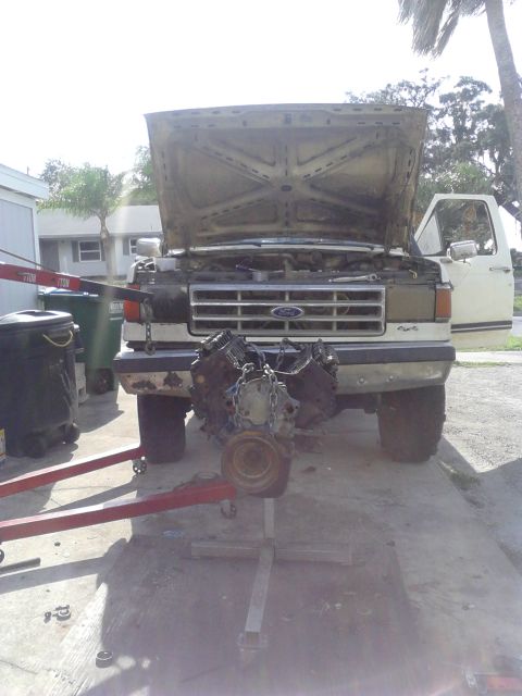 1988 Ford Bronco - engine number 4 ready to drop in. completely rebuilt with new crank and bearings, nice cam, new pistons n rings, windage tray, and other st…