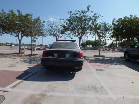 2003 Ford Crown Victoria - Rear view of a dark police-package sedan with a roof light bar parked alone in a wide paved lot near young trees.