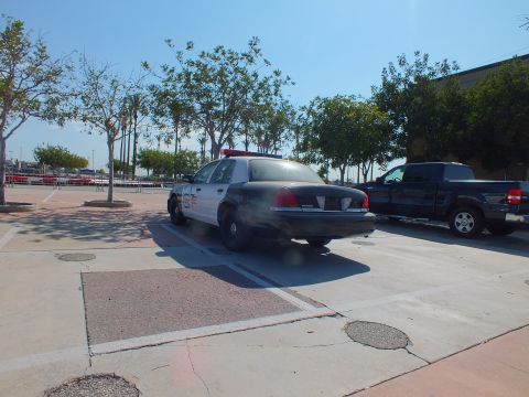 2003 Ford Crown Victoria - black-and-white police-package Crown Victoria sedan parked beside a dark SUV in a sunlit paved plaza lot.