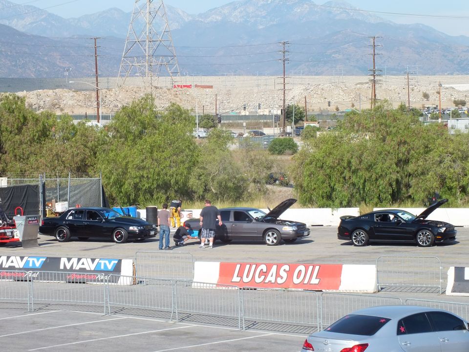 Black sedans and a Mustang with open hoods staged behind MAVTV and Lucas Oil banners