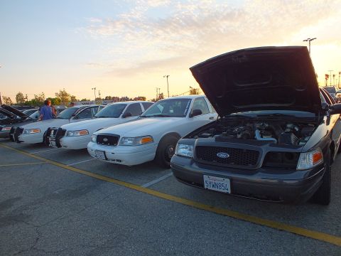 2003 Ford Crown Victoria - row of Ford sedans with raised hoods sits in a parking lot at sunset, with a black Ford closest to the camera.