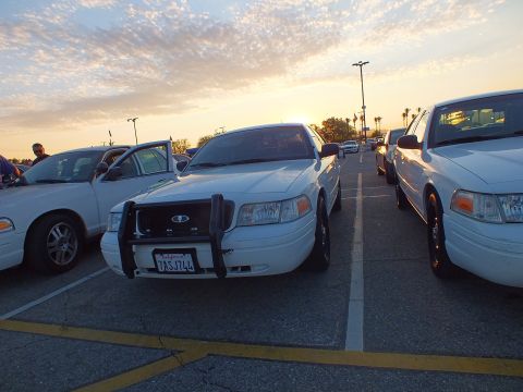 2003 Ford Crown Victoria - white Ford sedan fitted with a black push bumper sits among other white sedans in a lot at sunset.