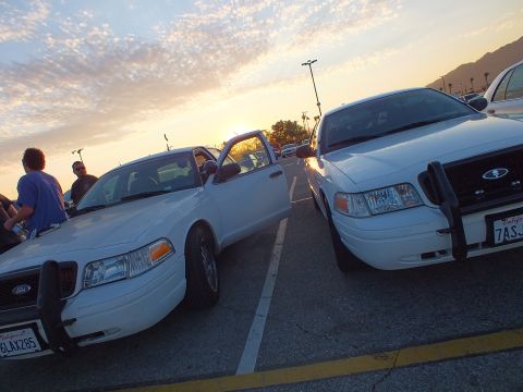 2003 Ford Crown Victoria - Two white Ford sedans sit angled toward each other in a parking lot at sunset, the right one wearing a push bumper.