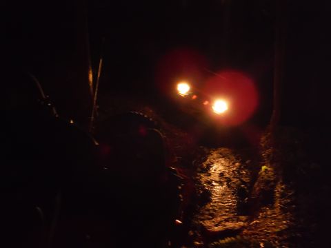 2005 Jeep Wrangler - Headlights of a 2005 Jeep Wrangler shine brightly at night, illuminating a wet path ahead.