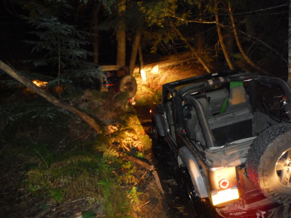 Black Jeep Wrangler on a wooded trail at night, with a fallen tree and another vehicle in the background