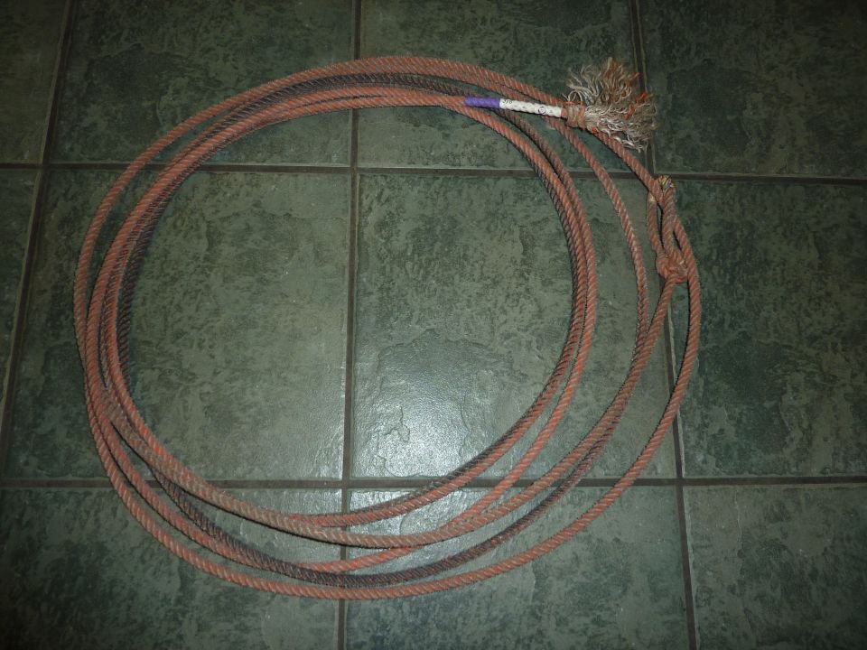 Coiled rope with a frayed end and a purple and white section, lying on a tiled floor