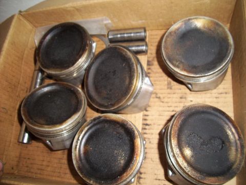 1995 Ford Probe - These pistons show signs of wear and carbon buildup, indicating they are used engine parts.