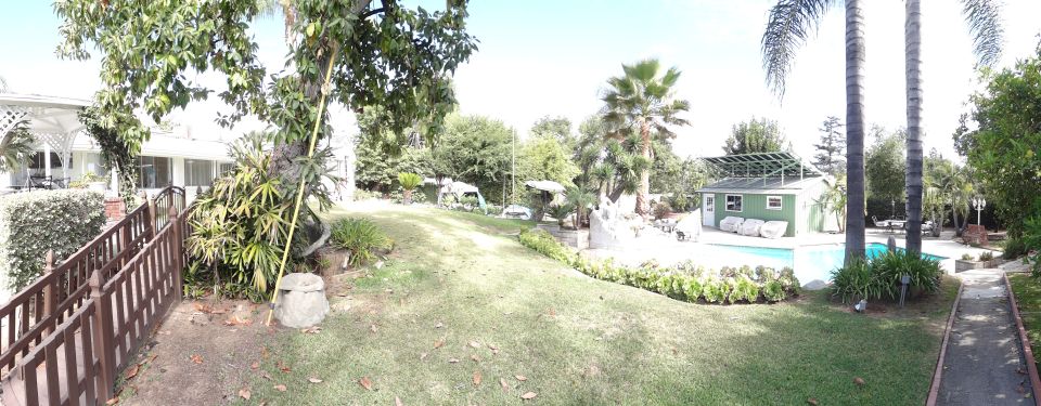 Backyard scene with a swimming pool and a green shed
