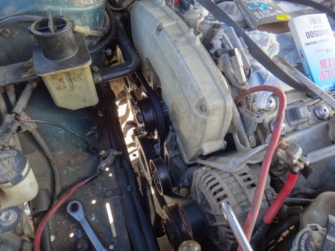 1995 Ford Taurus - Close-up view of a car's engine bay, focusing on the serpentine belt system and alternator.