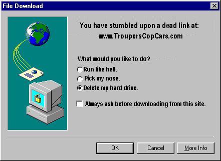 1999 Ford Crown Victoria - A vintage computer dialog box warns of a dead link and offers humorous choices for user action.