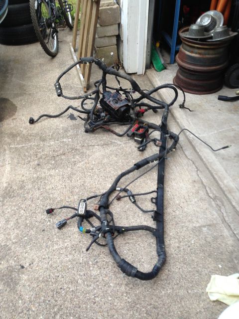 2004 Ford Crown Victoria - Engine wiring harness lies on a concrete surface, with a bicycle and stacked tires visible in the background.