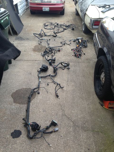2004 Ford Crown Victoria - Vehicle wiring harnesses are spread out on the ground next to two cars in a driveway.