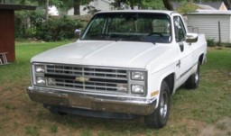 1999 Ford Crown Victoria - This white Chevrolet pickup truck is parked outside on a grassy area with trees and a shed in the background.