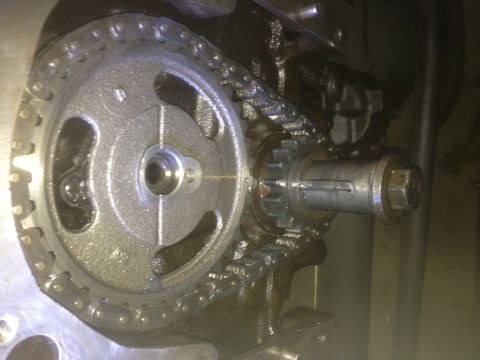 1978 Ford Bronco - Close-up view of engine timing components, including a chain and sprockets.